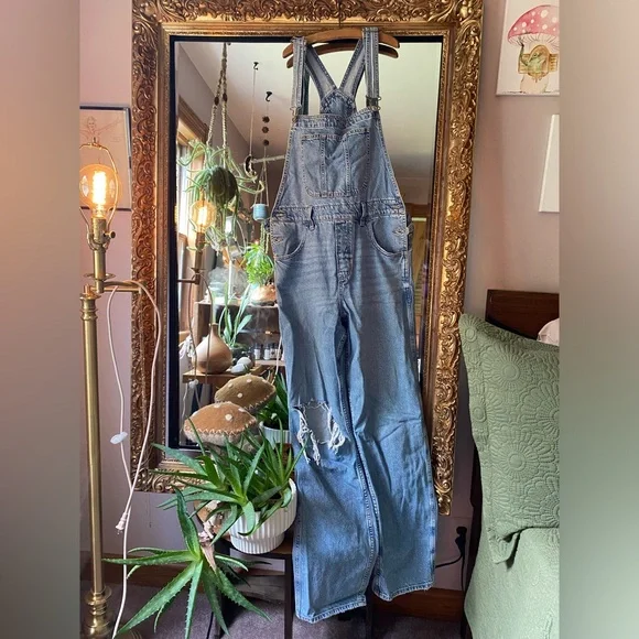 American Eagle ripped denim baggy overall - Picture 2 of 4
